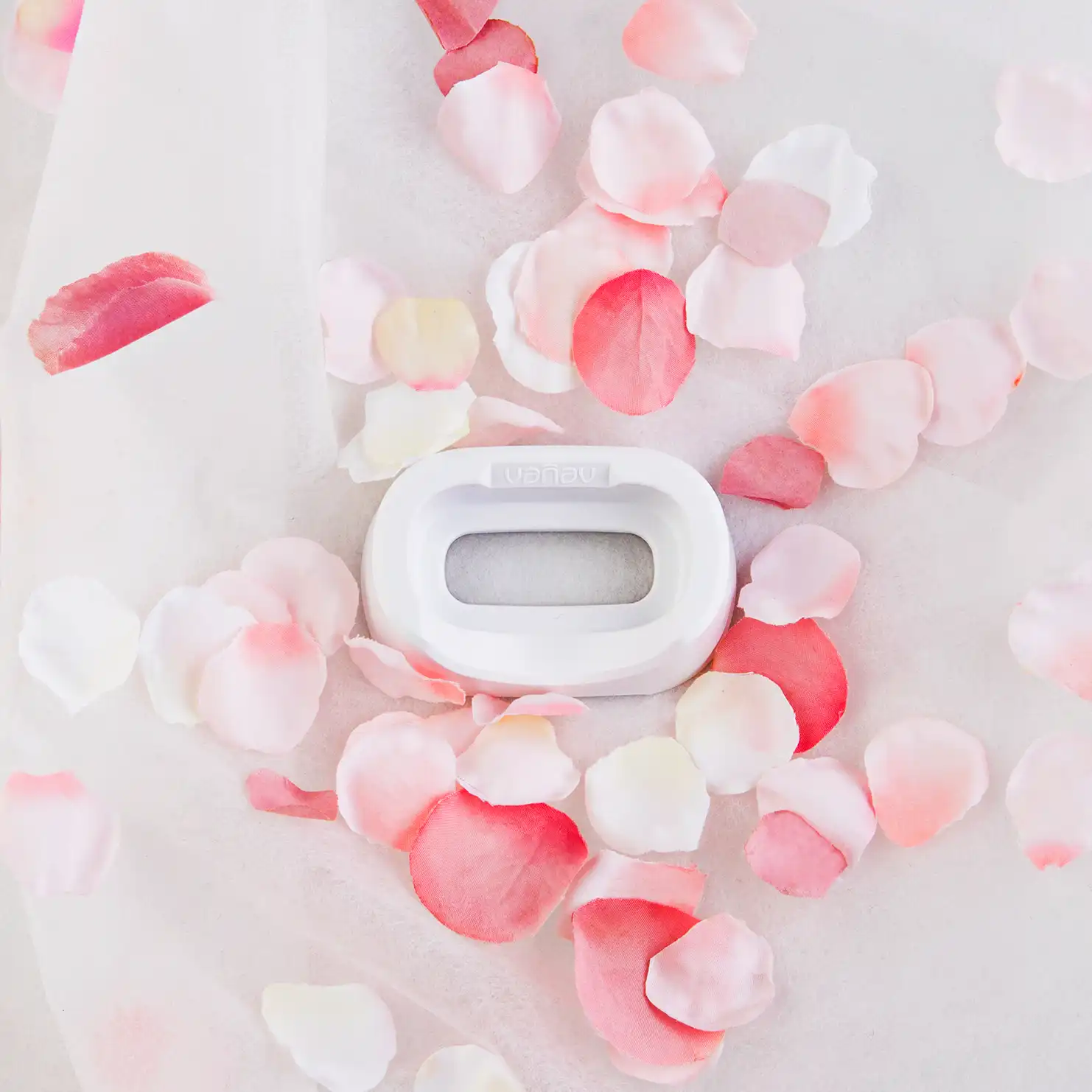 Bubble Pop Cleanser Holder Bubble Pop Cleanser Holder